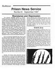 PRISON NEWS SERVICE - Issue 6